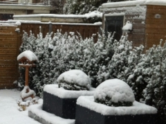 de tuin bedekt met zo'n 13 cm sneeuw in Arnhem